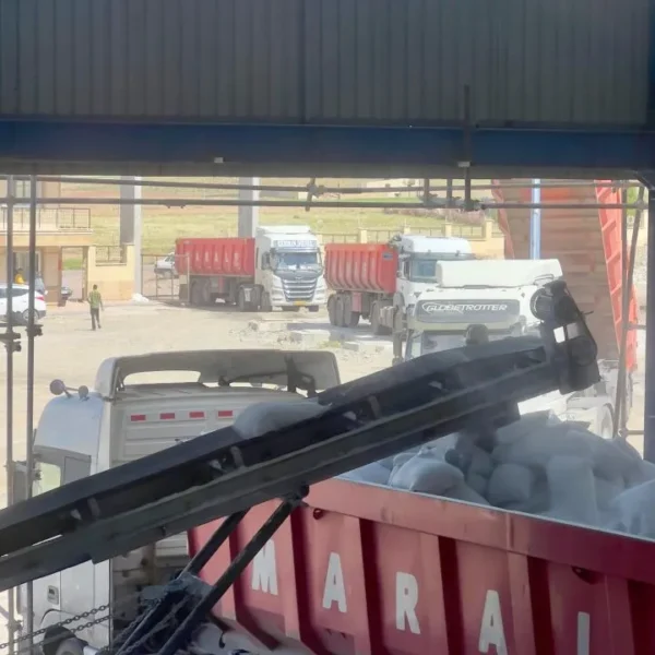 کارخانه رادکان