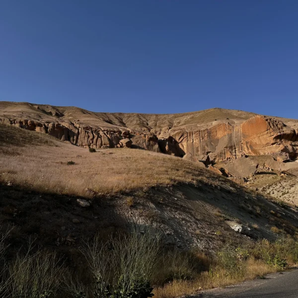 خرید بنتونیت