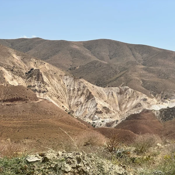 خرید بنتونیت