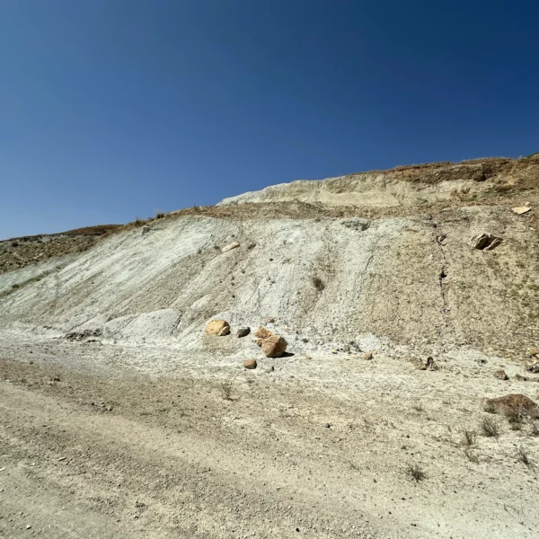 فروش بنتونیت