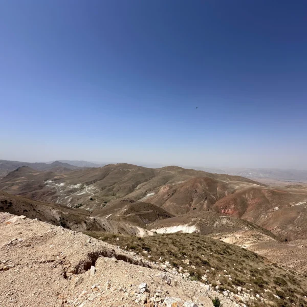 فروش بنتونیت